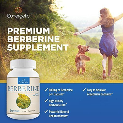 Suplemento De Berberina Premium - 1200 Mg De Berberina Por - Imagem 2