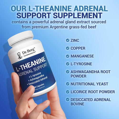 Suplemento Dr. Berg L-teanina 200 Mg Com Zinco, Cobre E Cinz - Imagem 6