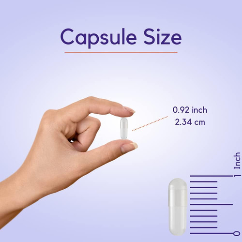 Bestvite L-tirosina 500 Mg (240 Cápsulas) - Sem Estearatos - - Imagem 4