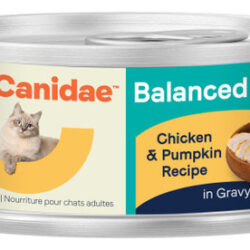 Comida Úmida Para Gatos Canidae Balanced Bowl, Frango E Abób