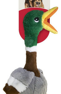 Brinquedo Para Cães Kong Shakers Honkers Duck, Multicolorido