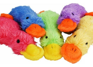 Brinquedo Para Cães Duckworth De 13 Polegadas, Cores Variada