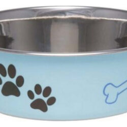 Prato De Aço Inoxidável E Azul Claro Com Base De Borracha Pe