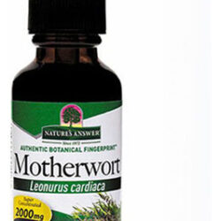 Motherwort Herb Organic, 1 Onça Da Nature's Answer
