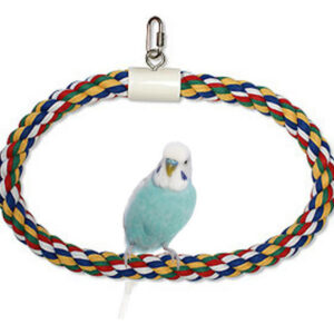 Anel Swing N Perch, 1 Cada, Multicolorido (médio) Da Jw Pet