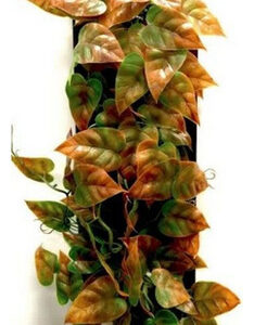 Réptil Pendurado Em Videira Verde E Marrom De 12 De Comprim