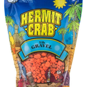 Cascalho De Caranguejo Eremita De Pesquisa Marinha Da Flórid