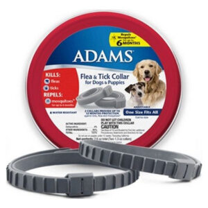 Coleira De Pulgas E Carrapatos Para Cães E Cachorros, 2 Unid