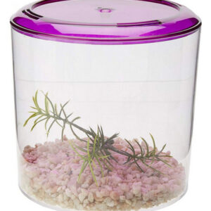 Kit De Aquário Redondo Betta Keeper, 1 Unidade, Da Lee's