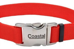 Coleira Ajustável Para Cães Com Fivela De Metal Vermelha Méd