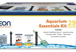 Kit Aqueon Aquarium Essentials De 29 Gramas Da Aqueon