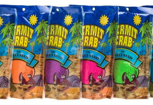 Areia De Cálcio Do Caranguejo Eremita Da Pesquisa Marinha Da