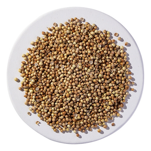 Semente De Coentro Orgânico De 1 Kg Da Starwest Botanicals