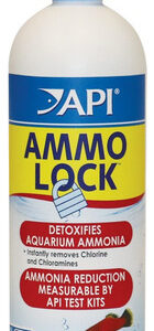 Desintoxicante De Amônia Ammo Lock Para Aquários, 16 Onças (
