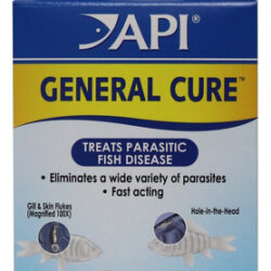 General Cure Powder 10 Pacotes - (325 Mg Cada) Por Api