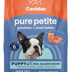 Filhote De Raça Pequena De Raça Pequena Canidae Pure Sem Grã