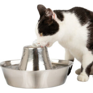 Fonte De Aço Inoxidável Seaside Para Animais De Estimação, 1