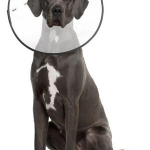 Coleira De Recuperação De Plástico Zenpet E-clear, 1 Cada, 2