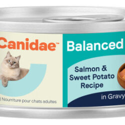 Comida Úmida Para Gatos Canidae Balanced Bowl, Salmão E Bata
