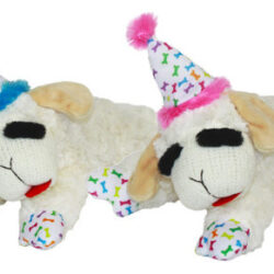 Costeleta De Cordeiro De Vários Animais De Estimação Com Cha