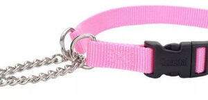 Coleira De Treinamento Ajustável Com Fivela Para Cães Grande