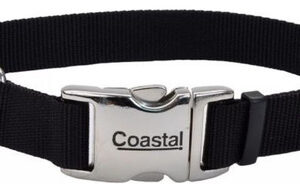 Coleira Ajustável Para Cães Com Fivela De Metal Preta Média,