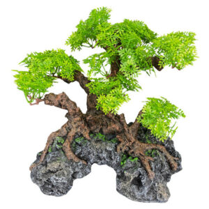 Árvore De Bonsai De Komodo Com Couro De 1 Cada /18 Polegadas
