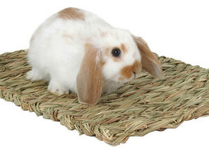 Tapete De Grama Tecida Marshall Pet Products Para Pequenos A