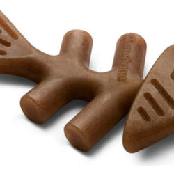 Brinquedo Benebone Fishbone Dog Chew Toy Salmon, Extrasmall/