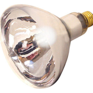 Lâmpada De Calor De 125 W Bulb Clear 1 Cada Da Satco