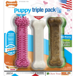 Pacote Triplo De Brinquedos E Guloseimas Nylabone Puppy Chew