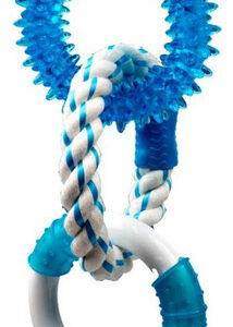 Menta Limpa Para Cães Multipet Com 3 Anéis - 2 Tpr E 1