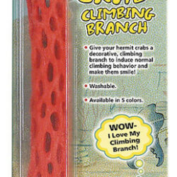 Filial De Escalada De Caranguejo Eremita Do Zoo Med, Variada