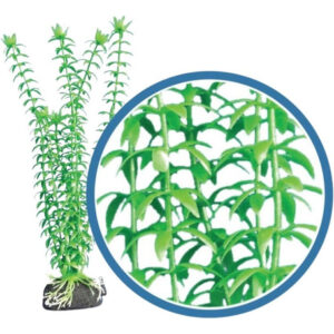 Planta De Aquário Tonina Gr Da Série Freshwater Pro Da Weco