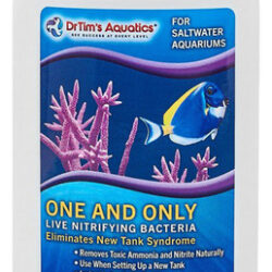 Uma E Única Bactéria Nitrificante Viva Para Ciclismo De Água