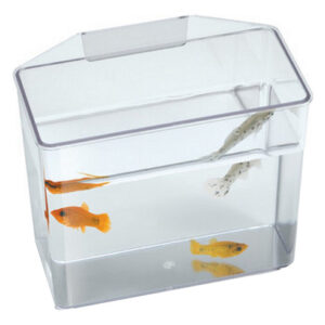 Recipiente De Amostra Resistente A Quebras Grande - 7 L X 3