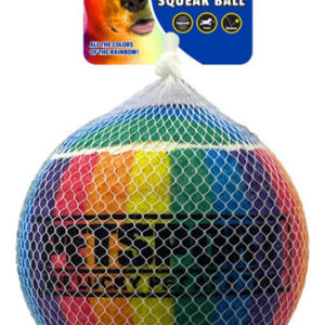 Brinquedo Para Cães Petsport Usa Rainbow Squeak Ball De 4 Po