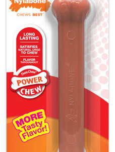 Brinquedo De Mastigar Durável Com Sabor Nylabone Power Chew