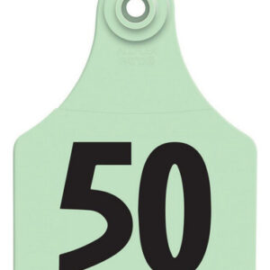 Etiquetas Globais Grandes Numeradas 26-50 Verdes 1 Unidade D