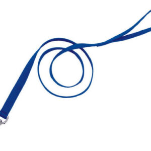 Coleira Costeira De Nylon De Camada Única Para Cães Azul, 3/