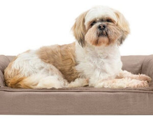 Sofá De Pelúcia E Camurça Fur Haven Pet Products Cama Ortopé