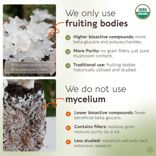 Suplemento Longevity Botanicals Tremella Mushroom 100g Em Pó - Imagem 3