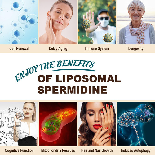 Suplemento De Espermidina 15 Mg - 99% De Pureza, Alta Absorç - Imagem 7