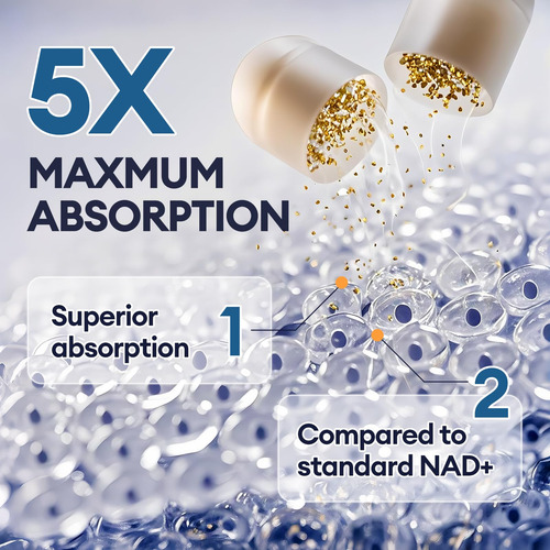 Suplemento Nad+ Migcopat Nad Com 300 Mg De Urolitina A 120 C - Imagem 6