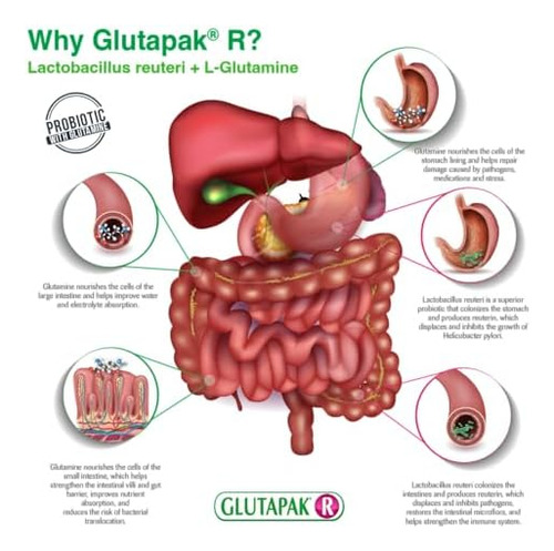 Probióticos Glutapak R Com Glutamina E Lactobacillus Reuteri - Imagem 9