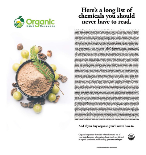 Pó Orgânico Zing Amla - Groselha Indiana Para Beber E Comer - Imagem 5