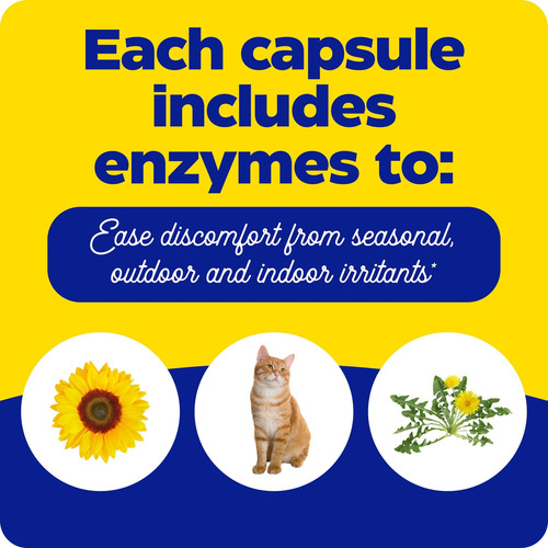 Enzymedica, Allerase, Suplemento Enzimático Não Sonolento Pa - Imagem 5