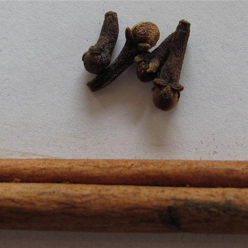 Pacote De 2 Oz De Chaga Da Icecube Com Canela E Cravo - Imagem 3