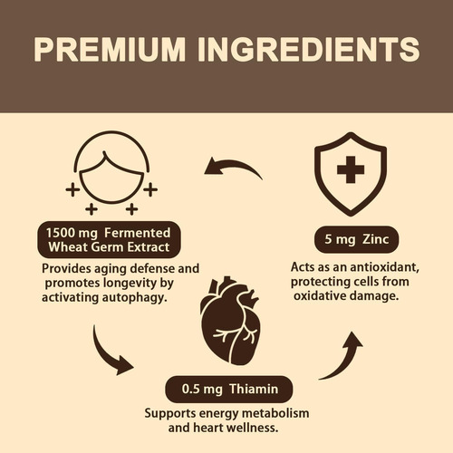 Suplemento De Espermidina 15 Mg - 99% De Pureza, Alta Absorç - Imagem 6