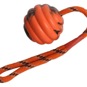 Brinquedos De Corda Para Cães Bola De Treinamento Para Cães